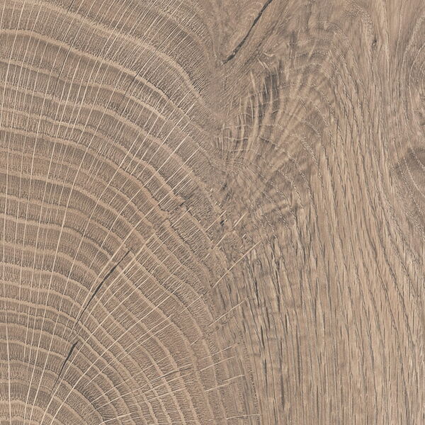 533 | Contaro Oak